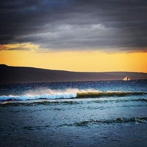 Ocean Sunset Whale Print
